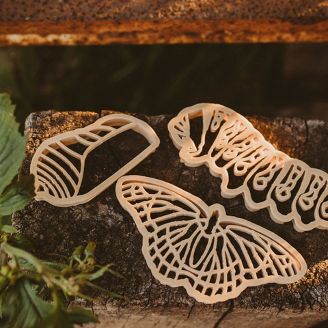 BUTTERFLY LIFE CYCLE ECO CUTTER SET