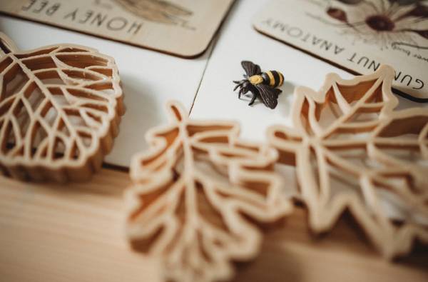 LEAF ECO CUTTER SET
