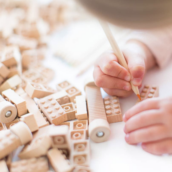 ECO BRICKS - 45 PIECE