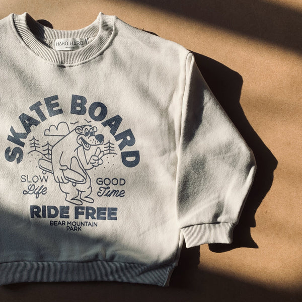 SKATEBOARD SWEATER - STORM