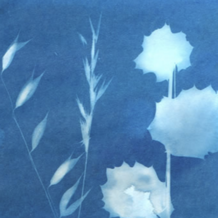 SUNPRINT KIT