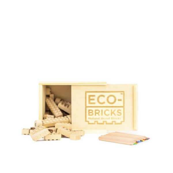 ECO BRICKS - 45 PIECE