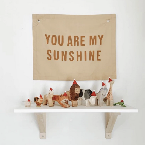 SUNSHINE BANNER - PEACH