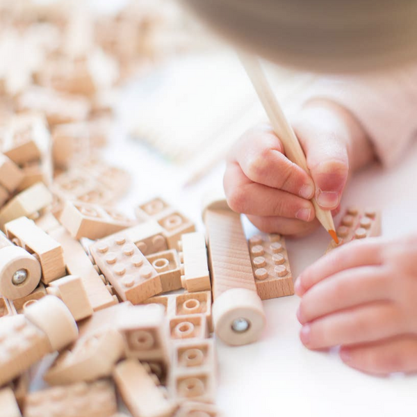 ECO BRICKS - 90 PIECE