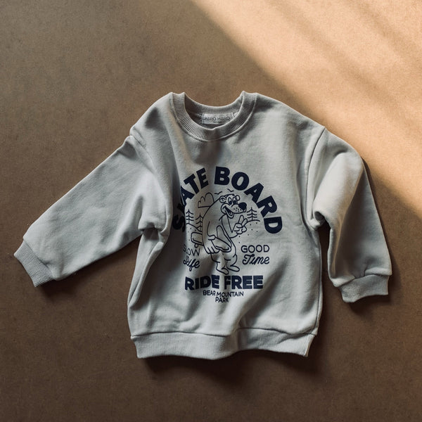 SKATEBOARD SWEATER - STORM