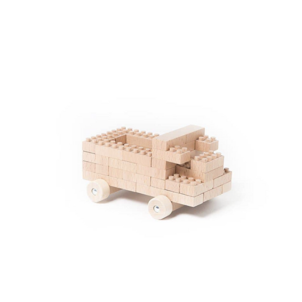 ECO BRICKS - 45 PIECE
