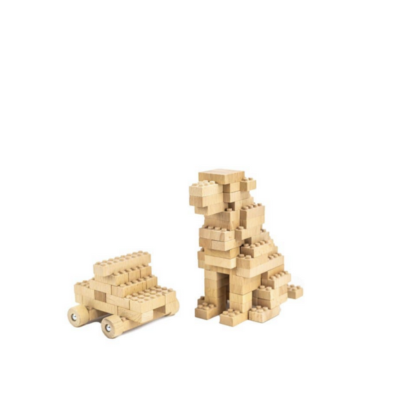 ECO BRICKS - 45 PIECE