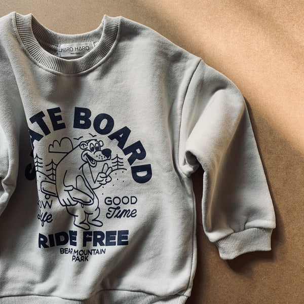 SKATEBOARD SWEATER - STORM