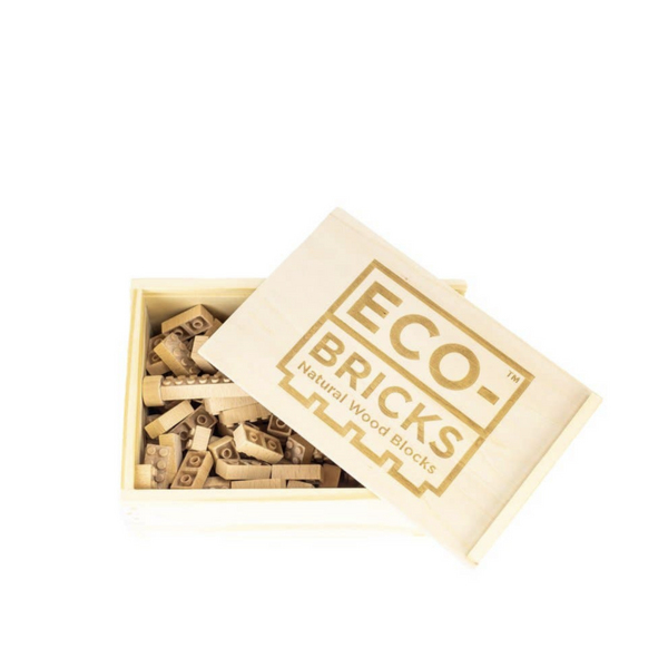 ECO BRICKS - 90 PIECE