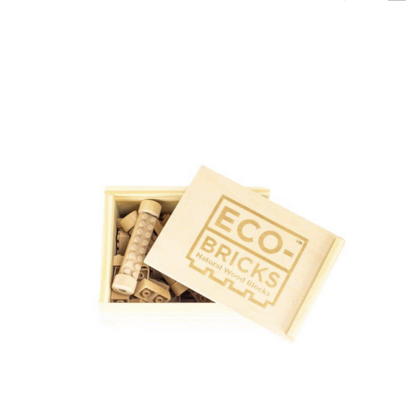 ECO BRICKS - 45 PIECE